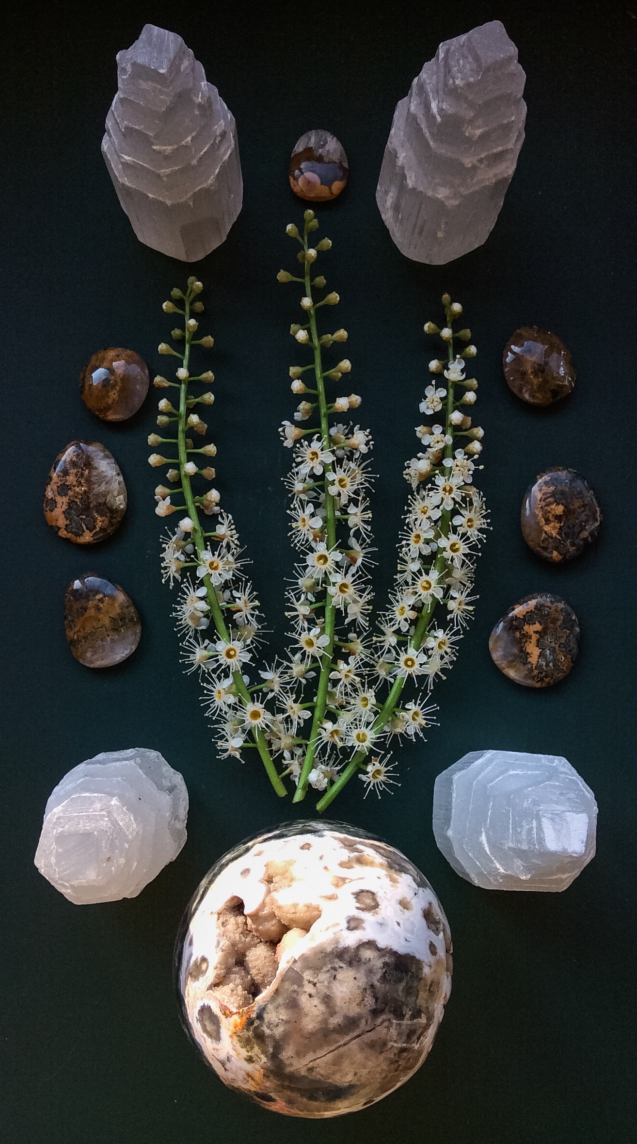 Ocean Jasper, Selenite, Bumblebee Jasper and Laurus Nobilis flowers