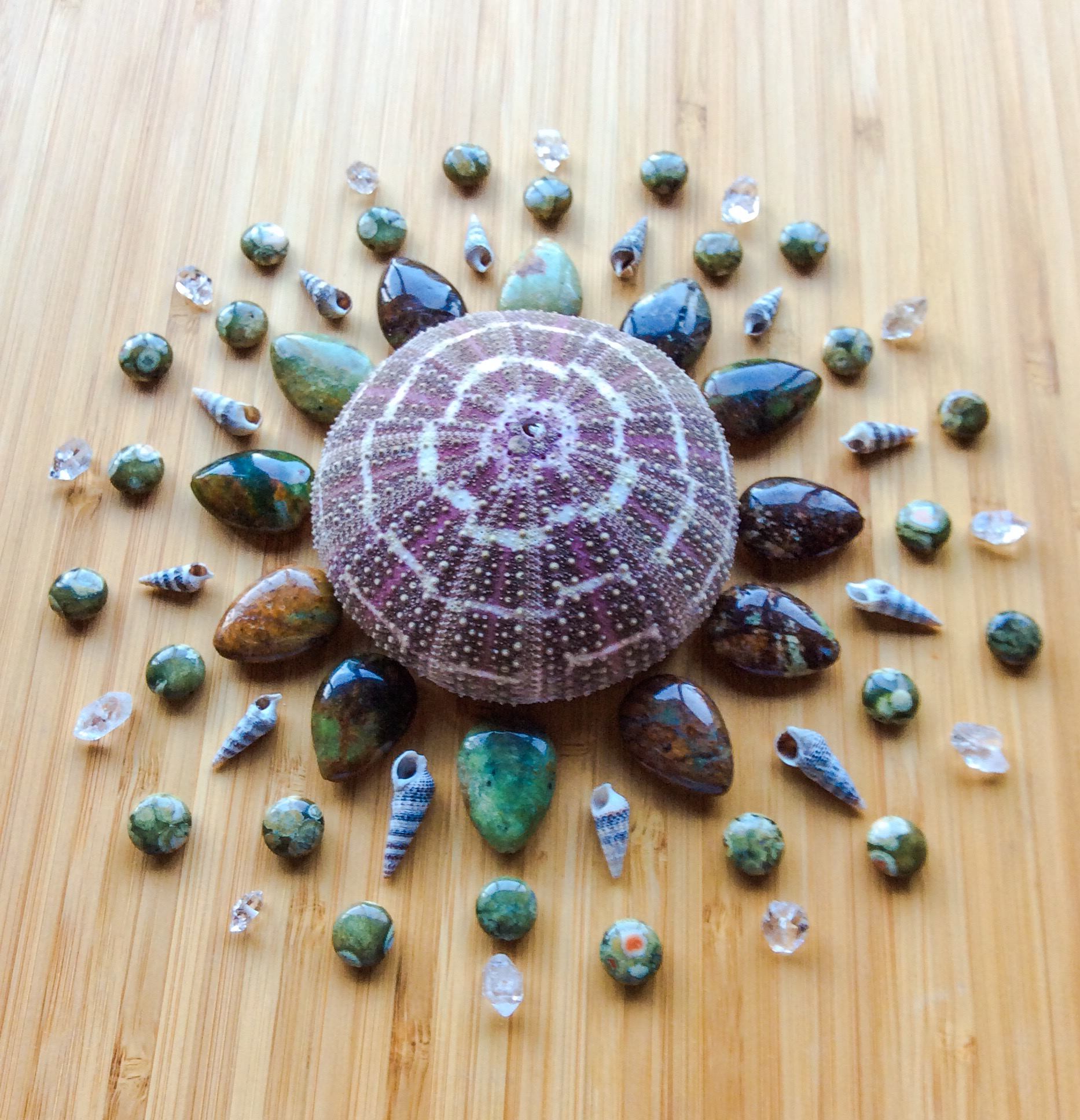Jasper, Ryolite, Herkimer Diamond, Shells and Sea Urchin
