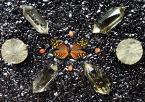 Butterfly crystal grid