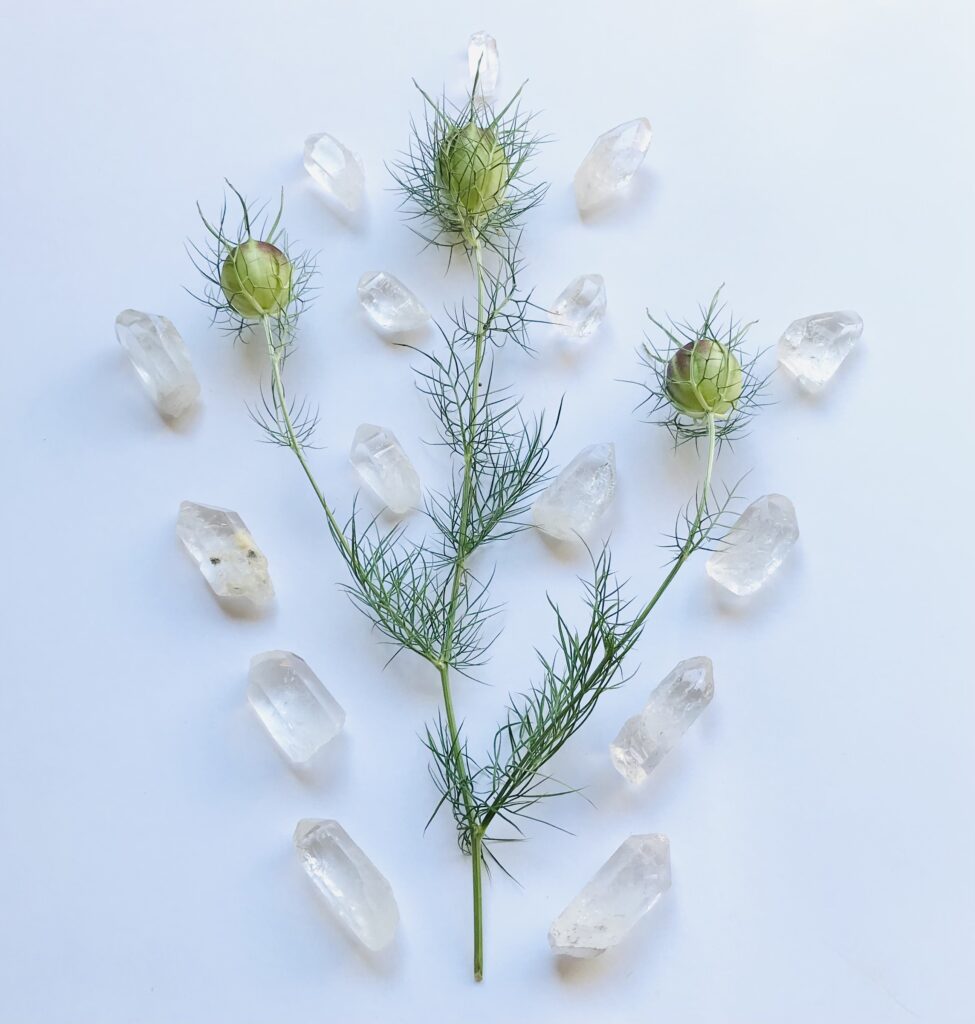 Quartz, Seed pods of Nigella sativa