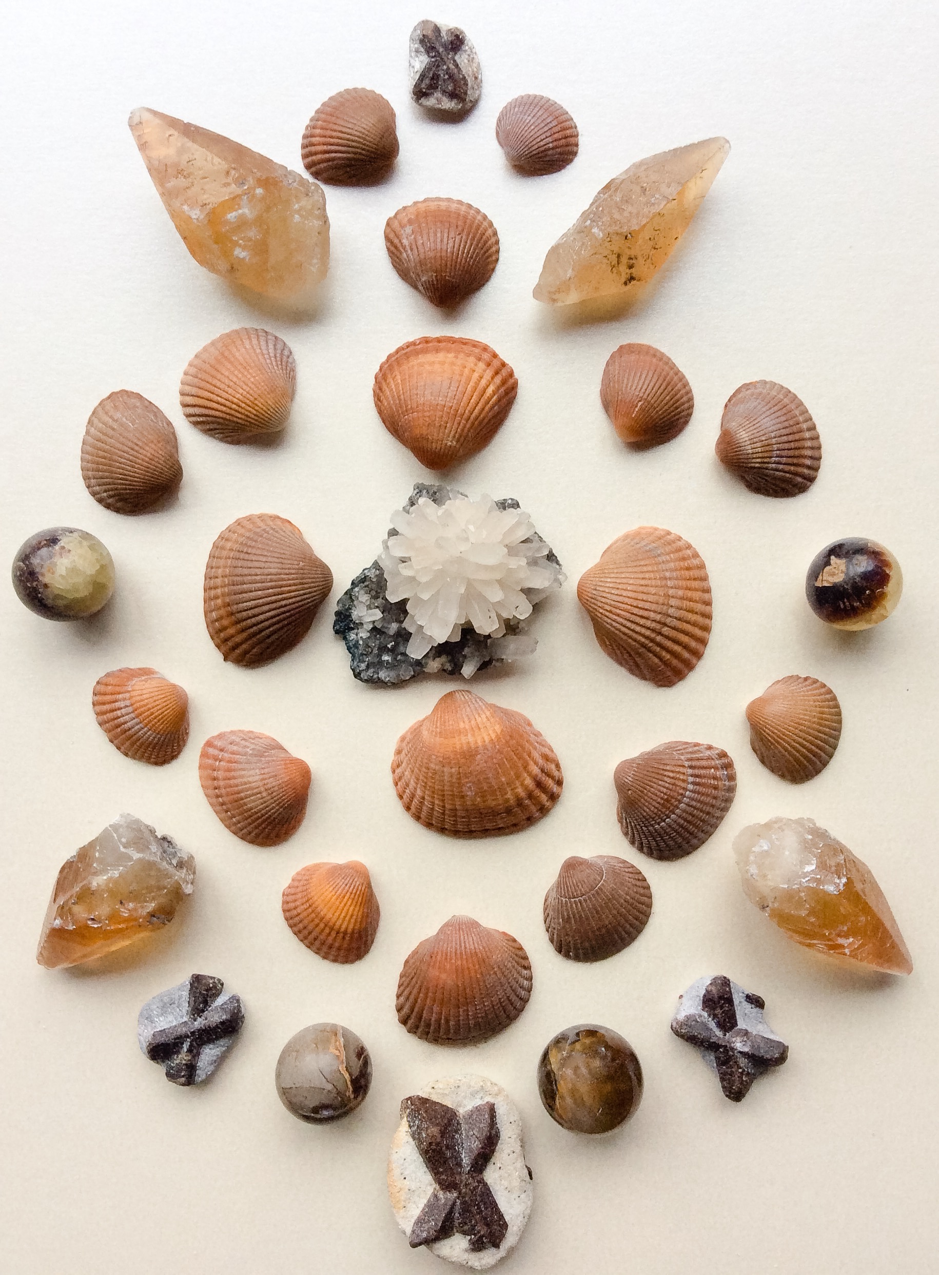 Calcite flower, Honey Calcite, Septarian, Staurolite and Shells from the beach in Vlissingen