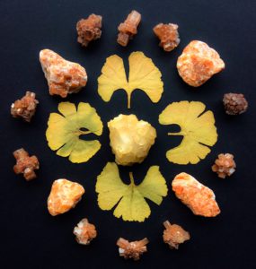 Aragonite, Honey Calcite, Orange Calcite and Gingko leaves