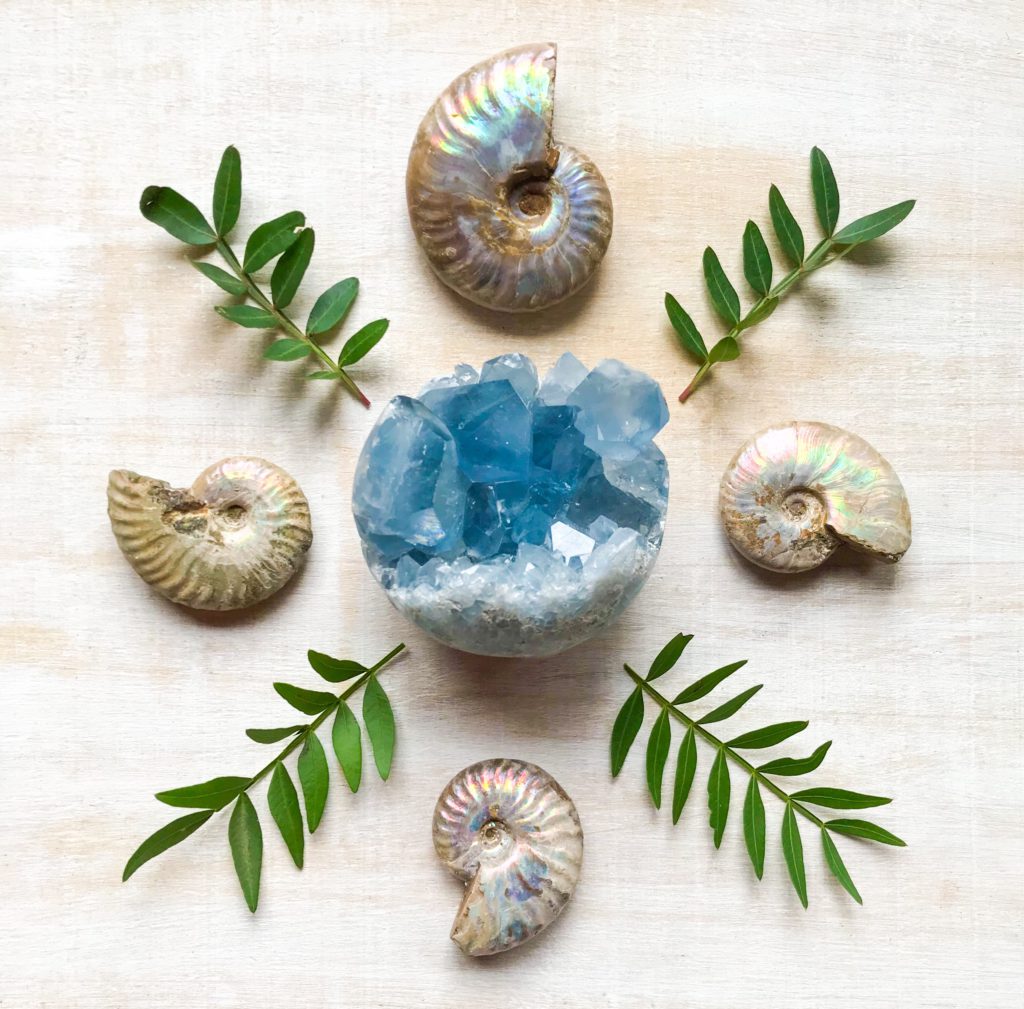 Celestine, Ammonite and Leaves