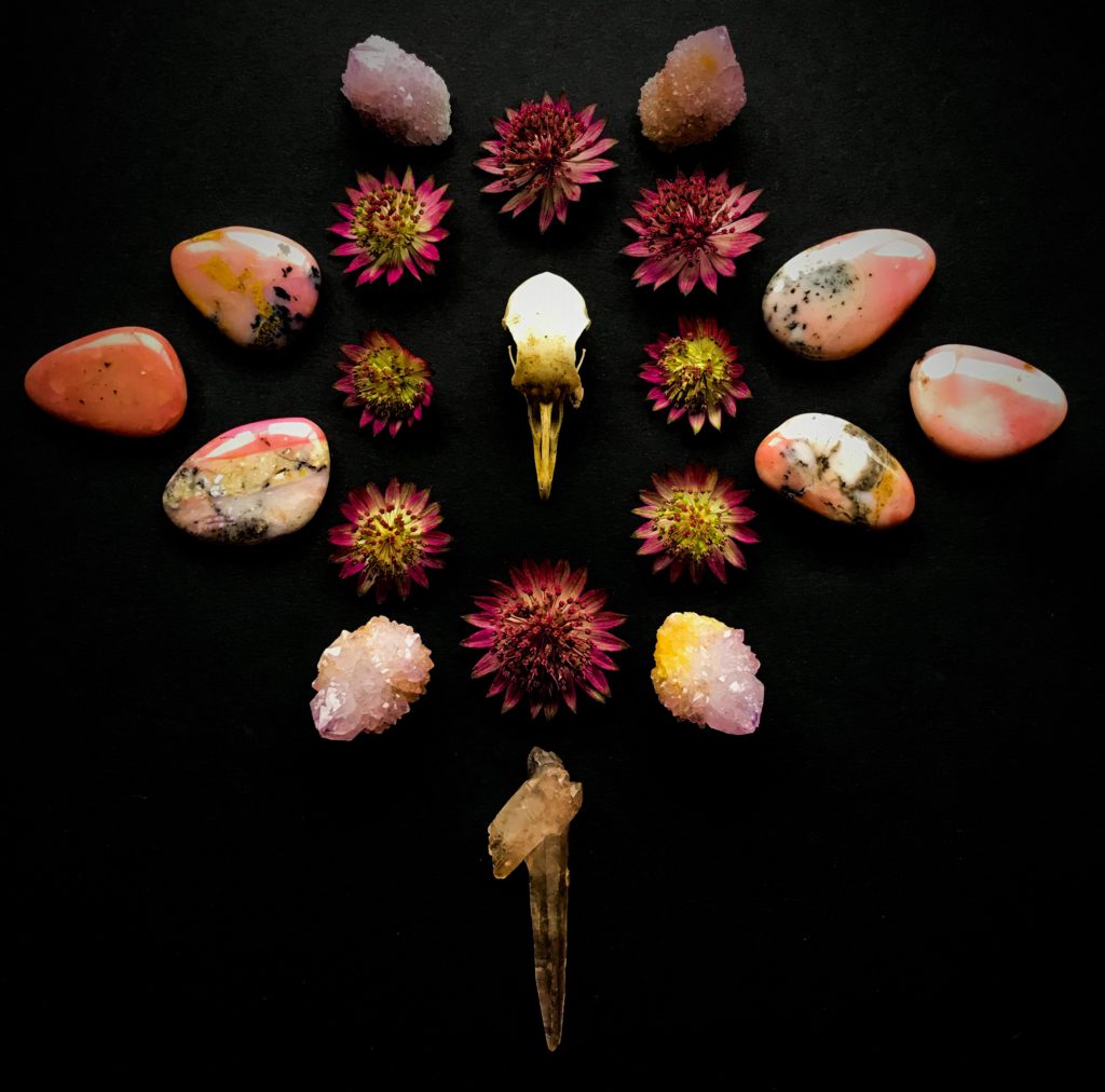 Quartz, Amethyst Cactus Quartz, Pink Andean Opal, the remains of a bird found in the woods and Astrantia