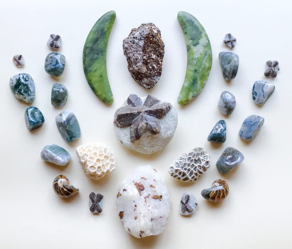 Staurolite, Astrophyllite, Cryolite with Siderite, Nephrite, Moss Agate, Coral Stone and Nautilus