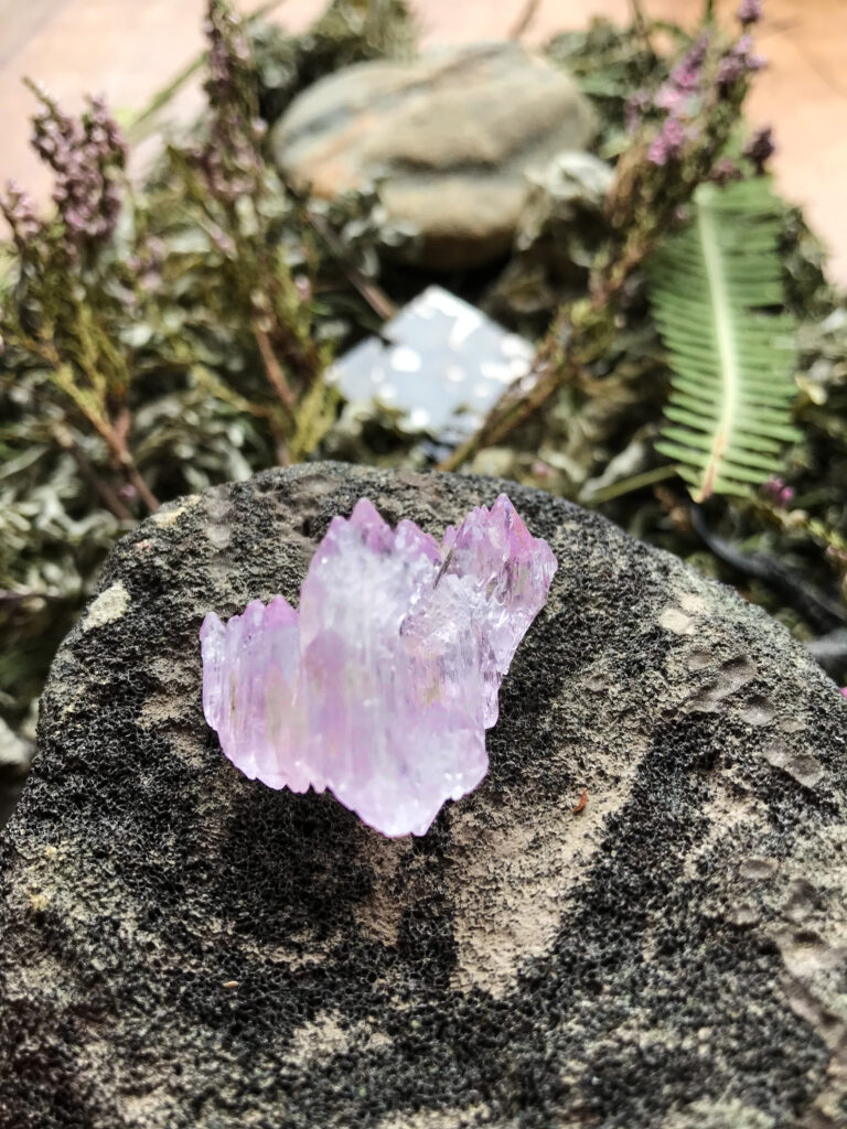 Close-up of Kunzite, natural Heart-shaped Stone with Hematite and Quartz veins received, Herkimer Diamond, Seycham Pallasite, Whale vertebra fossil, Crow claws upon a bed of dried sacred plant allies