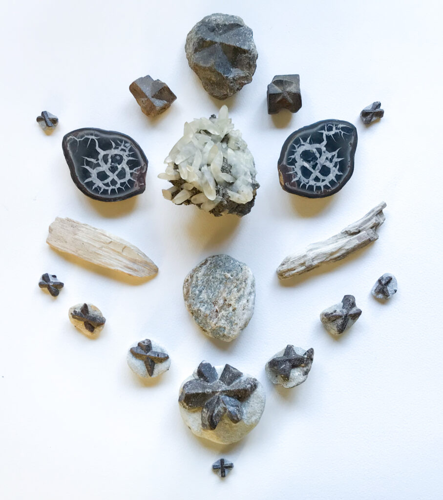 Calcite on Pyrite, Schist, Petrified Wood, Staurolite, Septarian