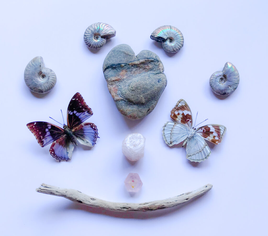 A gifted heart shaped Stone with a Quartz and a Hematite vein, Morganite, iridescent Ammonite, gifted driftwood, Mimathyma schrenki, Charaxes smaragdalis